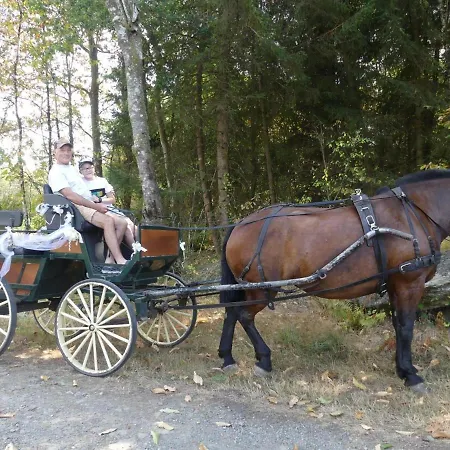 Avec Grand Parc, Clim Et Wifi, Proche Commerces, Dans Le Parc Naturel Perigord Limousin - Fr-1-616-78 Nyaraló